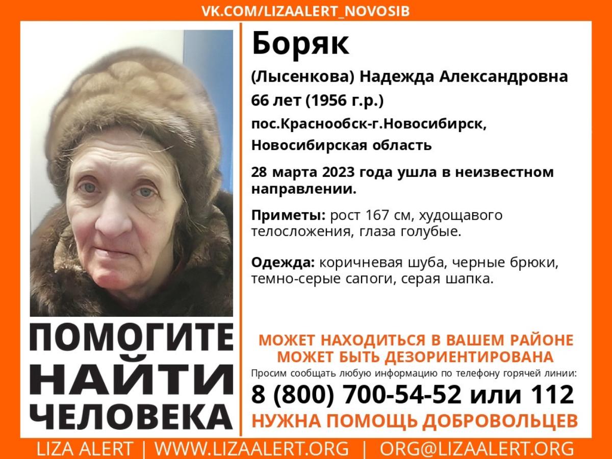 Пошла в магазин и пропала: в Новосибирской области ищут пенсионерку