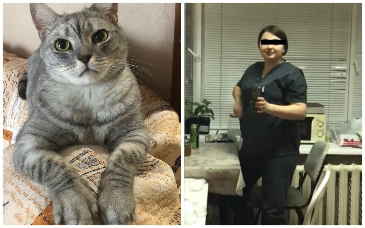 «Это не мои проблемы»: убившая кота практикантка ветклиники сбежала в Казахстан
