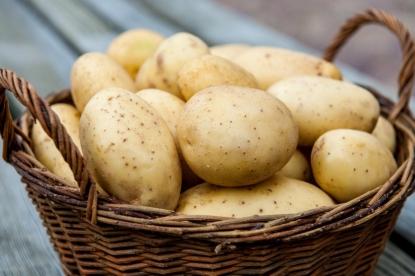 Не верьте страшилкам про картофель: его нельзя исключать из рациона