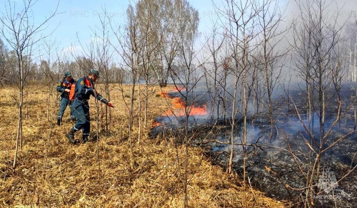 Особый противопожарный режим продлен до 22 мая в Новосибирской области