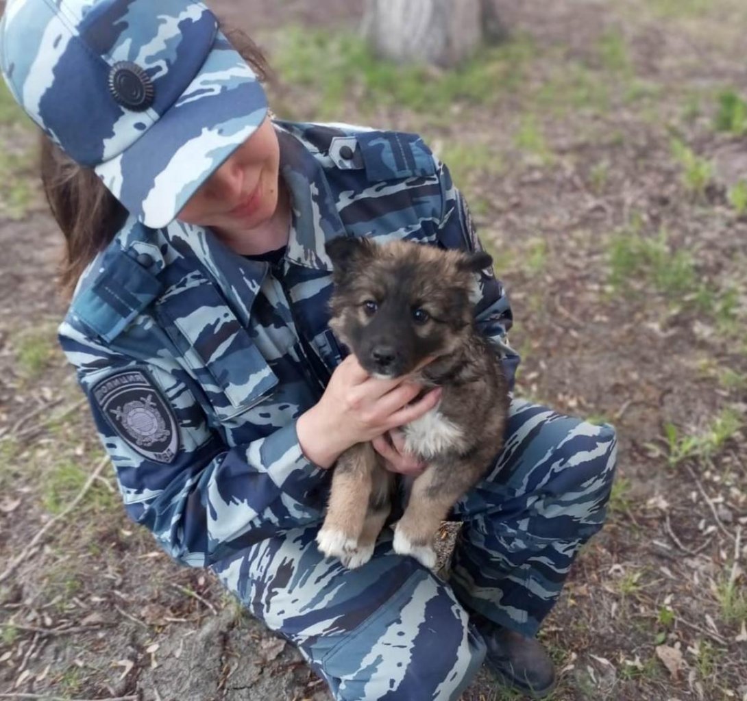 Новосибирские полицейские приютили бездомного щенка Муху