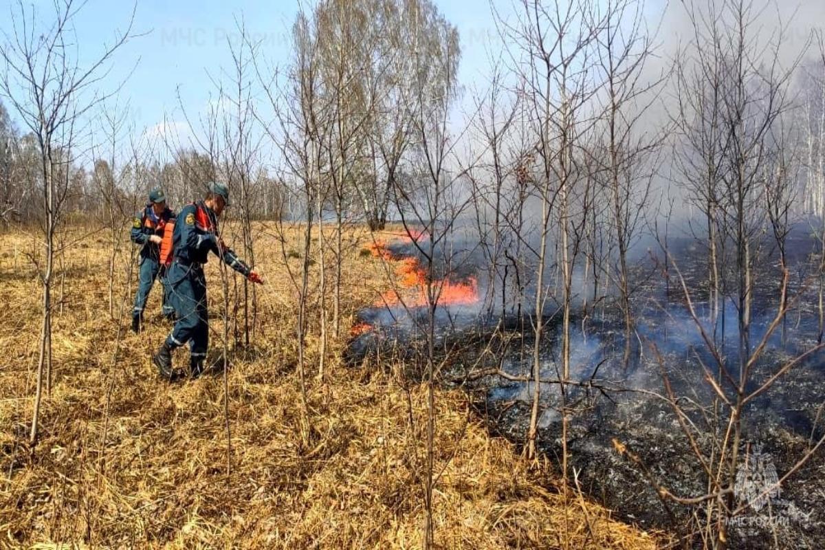 Трава загорелась под поселком Рыбачий