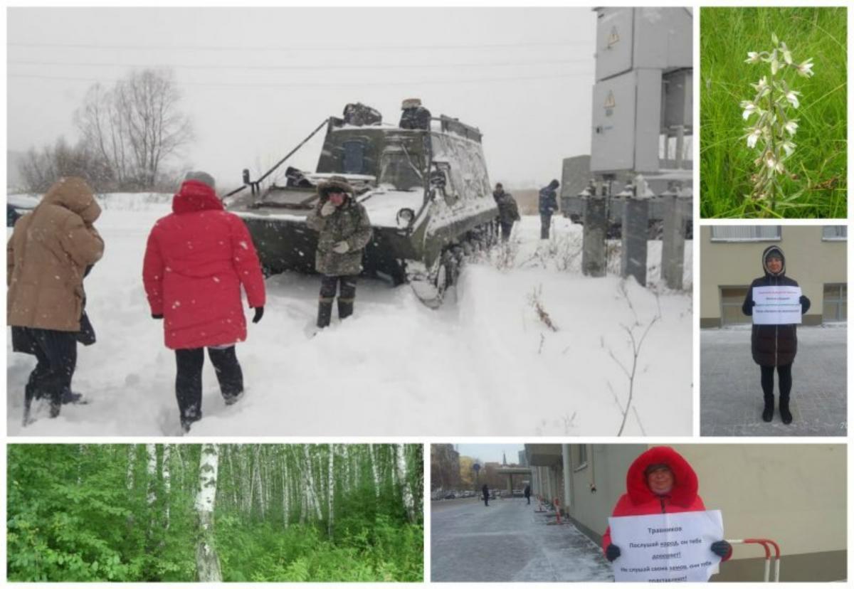 В Новосибирске арестовали дом экоактивистки, защищавшей болото в Кучино