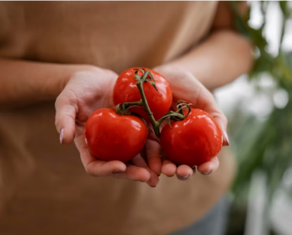 Больше никаких салатов: правда ли, что помидоры опасны для суставов?