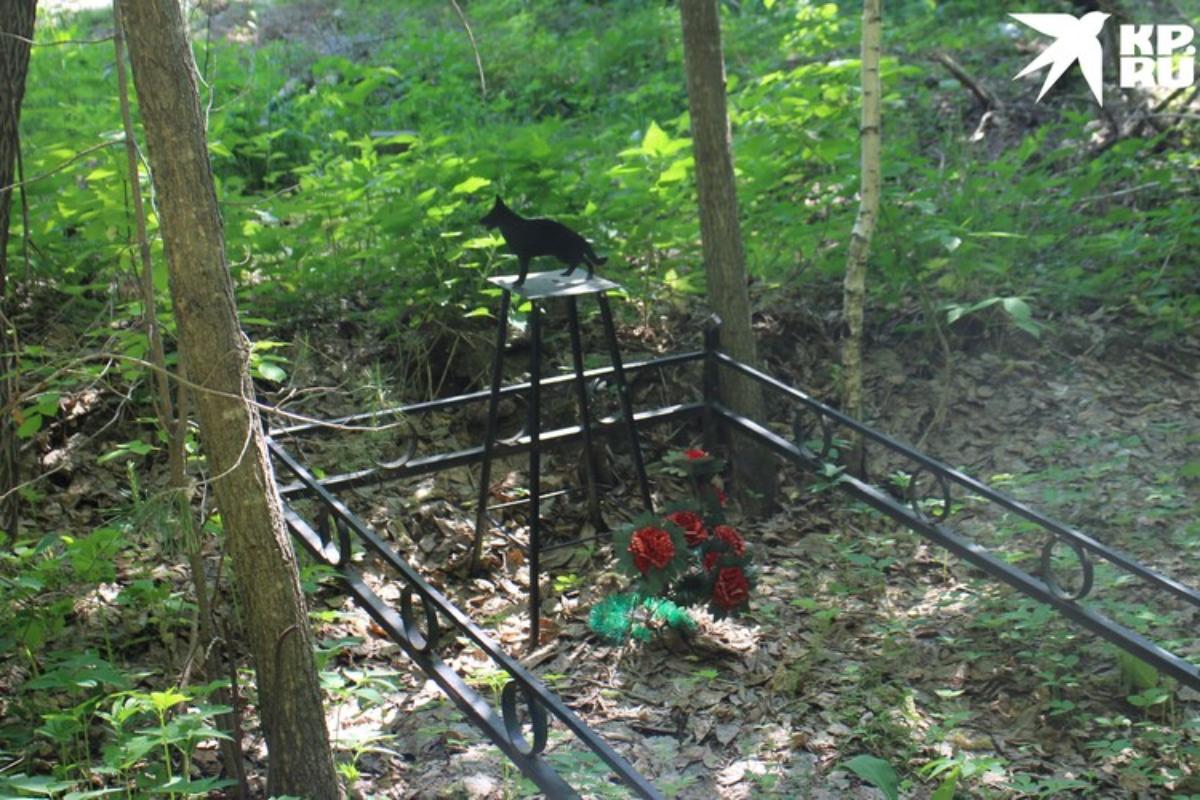 «Кажется, тут похоронен иностранец»: кладбище питомцев организовали жители Новосибирска