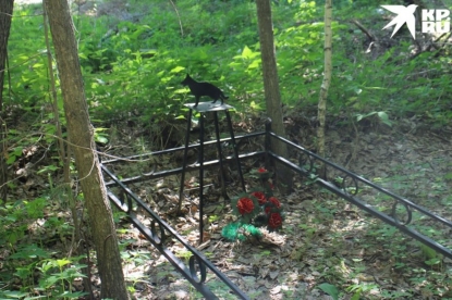 «Кажется, тут похоронен иностранец»: кладбище питомцев организовали жители Новосибирска