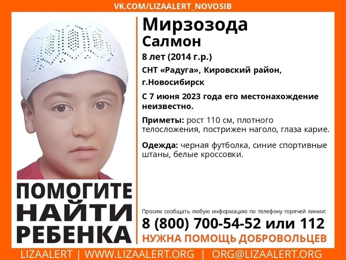 Восьмилетний мальчик пропал в Кировском районе