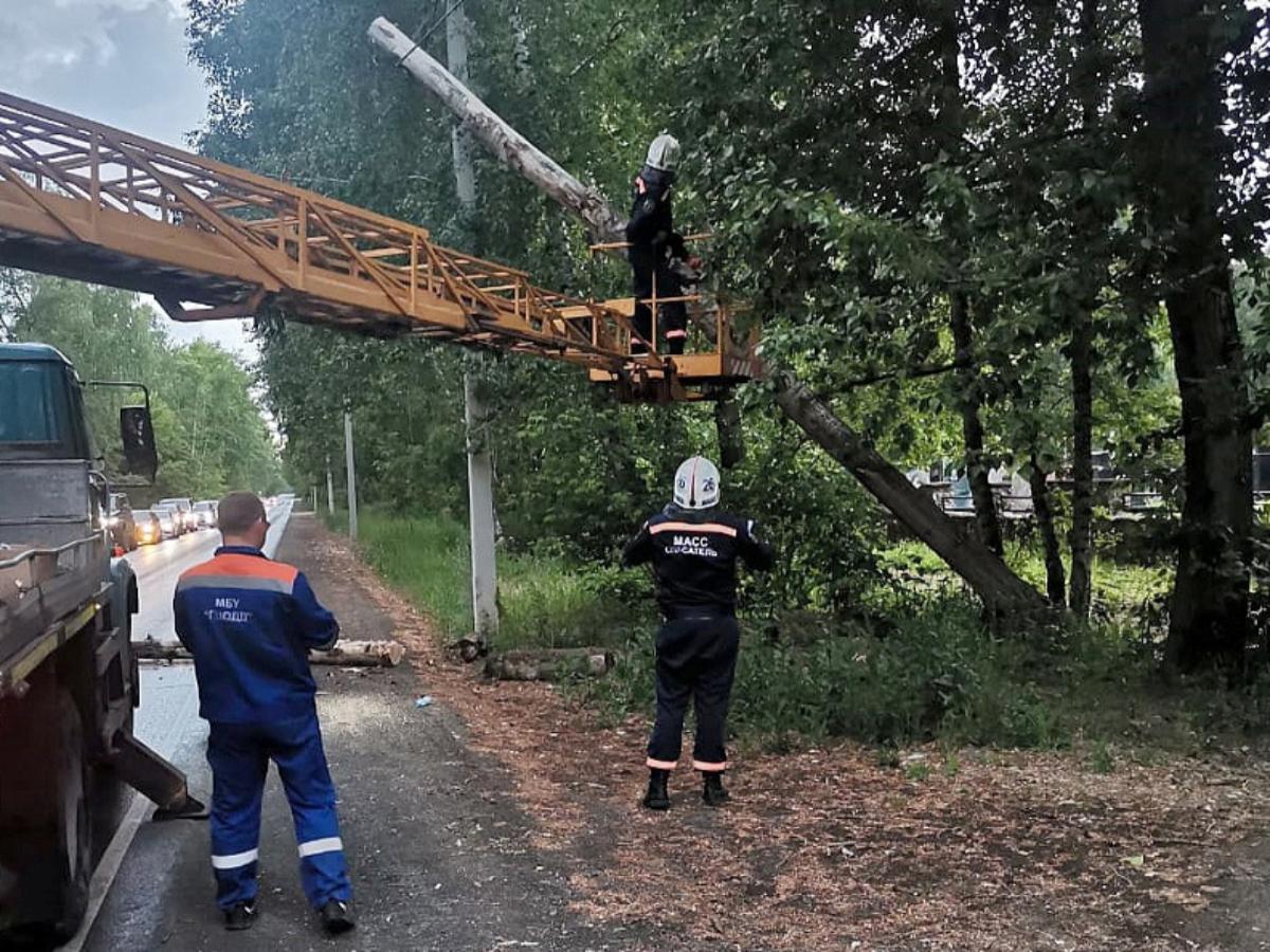 Мощный штормовой ветер разметал деревья и ветки по Новосибирску