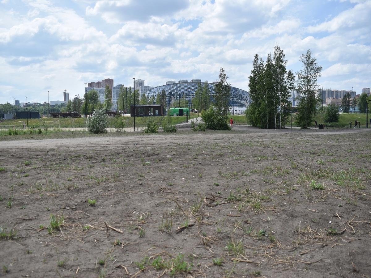 Почти полтора месяца потребуется на восстановление парка «Арена» после VK Fest