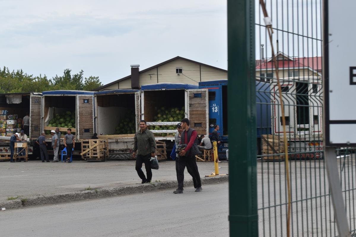 Стало известно, из каких стран приезжают мигранты в Новосибирск