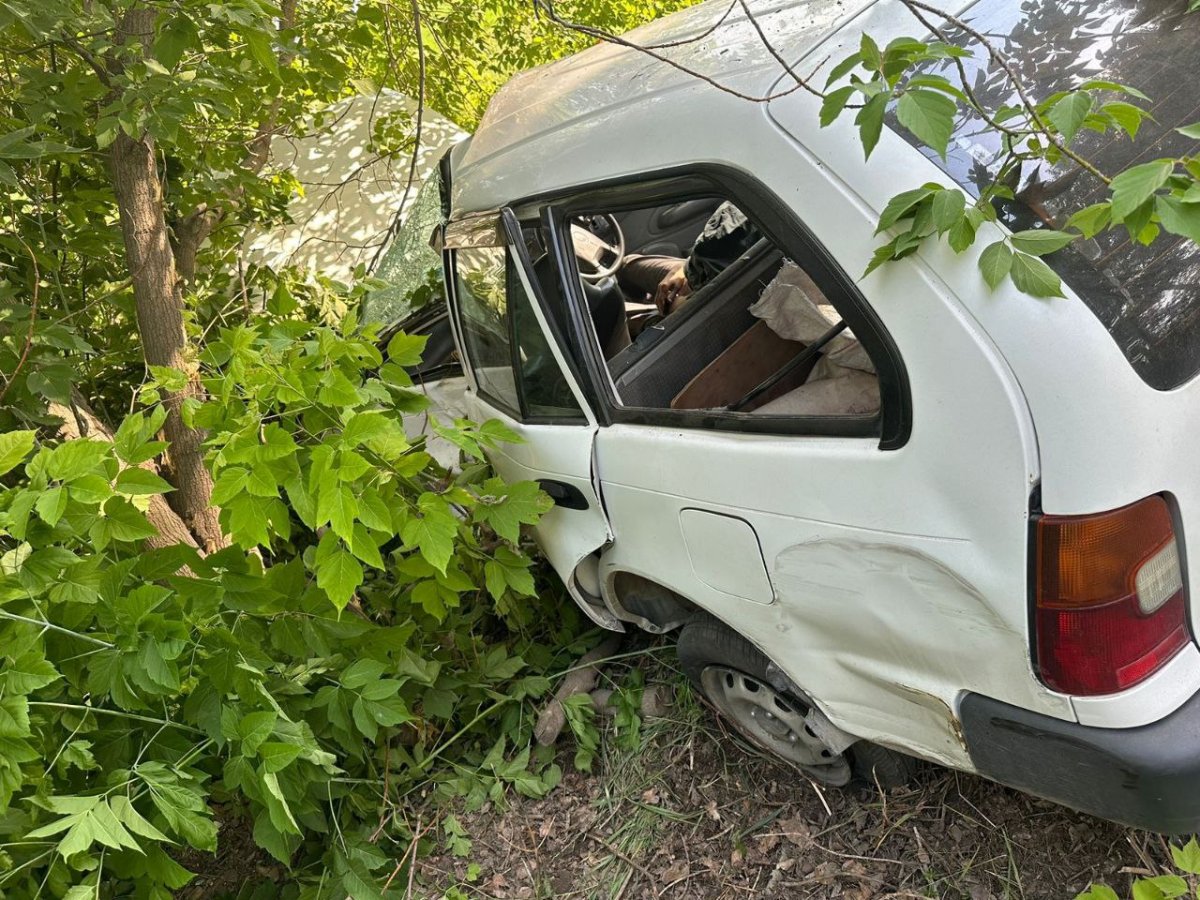 В Бердске водитель «Тойоты» наехал на дерево и погиб 