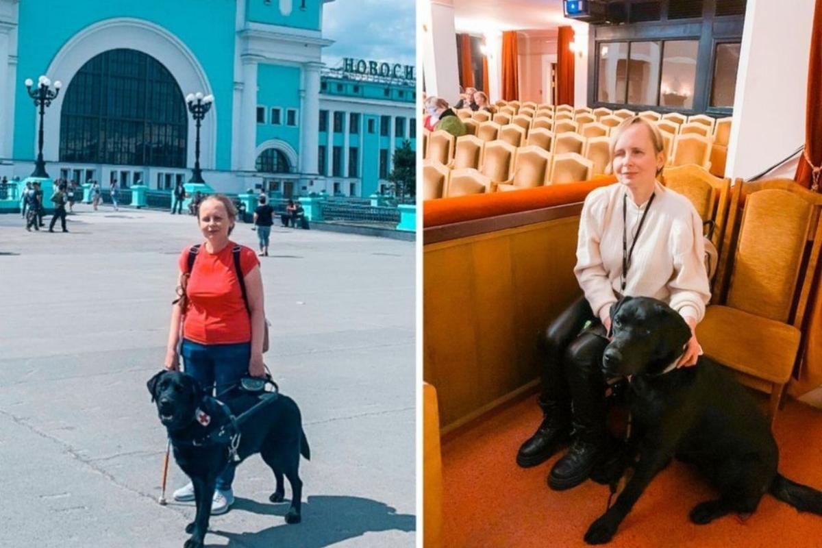 «Встал на ступеньки и взвизгнул»: собака-поводырь погибла от удара током в новосибирском троллейбусе