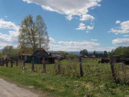 В новосибирском селе братья-подростки изнасиловали семилетнего мальчика