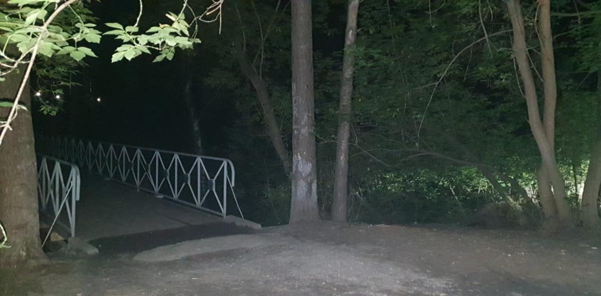 В парке Новосибирска нашли труп женщины