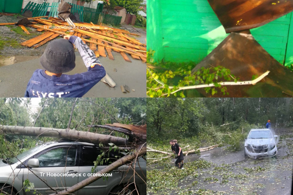 Поваленные деревья, сорванные крыши, оборванные провода и помятые машины: на Новосибирск обрушился ураган  