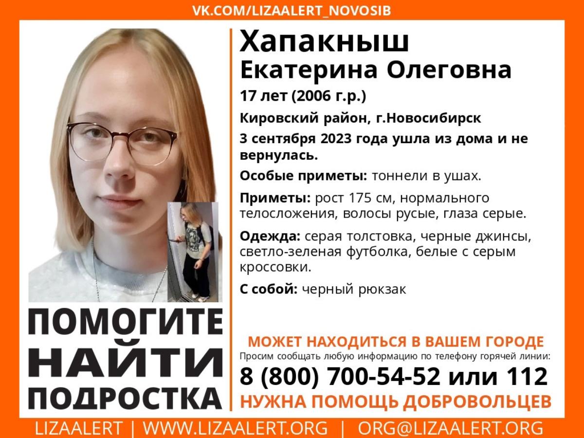 14 апреля новосибирск. Пропала девочка в Новосибирске. Пропала девочка в Кировском районе. МАНЬЯК В Новосибирске 2024 год.
