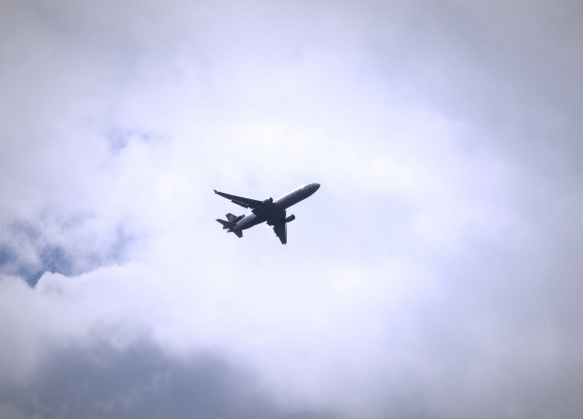 Самолет рейса «Сочи – Омск» приземлился на поле в Новосибирской области