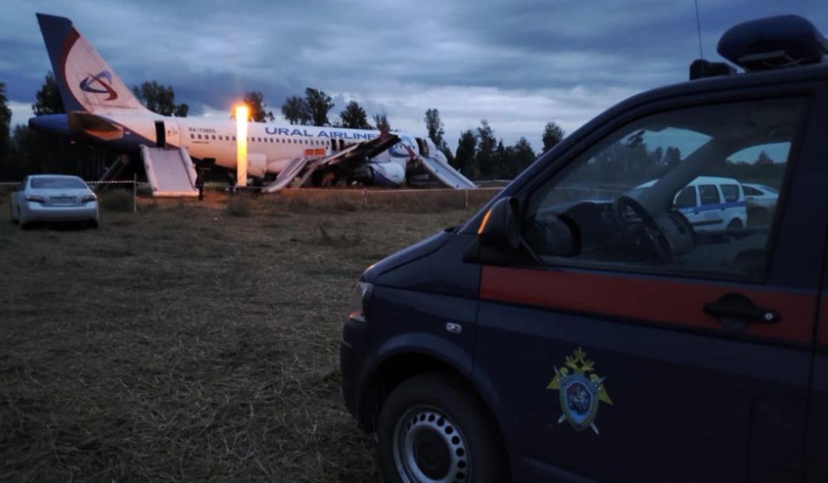 «Проводятся допросы»: как расследуют дело о посадке Airbus в поле под Новосибирском