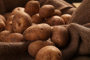 Самые распространенные ошибки при хранении картофеля, из-за которых он дрябнет и гниет