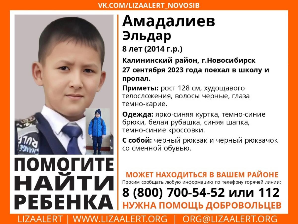 Восьмилетний мальчик пропал по пути в школу в Новосибирске