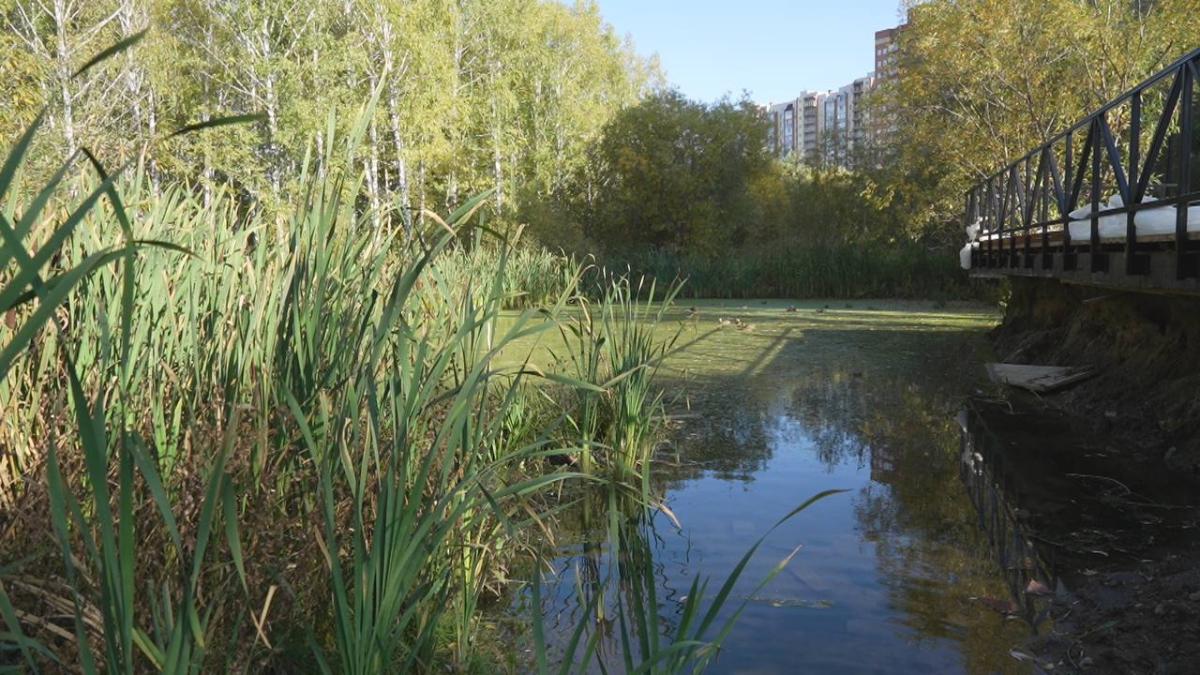 В Новосибирске провалили сроки сдачи первого затопляемого парка «Каменка»
