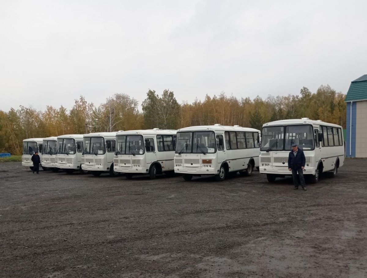 Рекордное число автобусов получат районы Новосибирской области до конца 2023 года