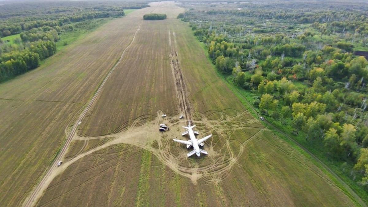 «Мыслим по-колхозному»: началась вспашка поля вокруг экстренно севшего самолета