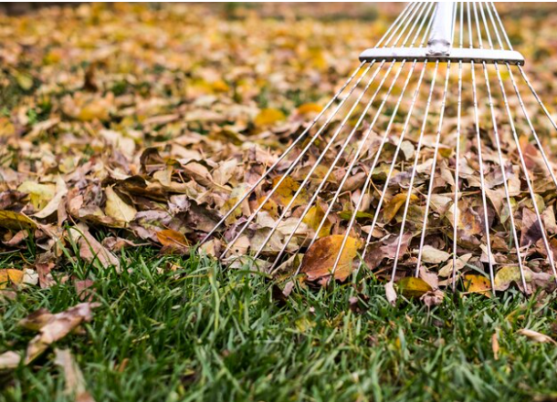 4 совета, как использовать опавшие осенние листья на дачном участке
