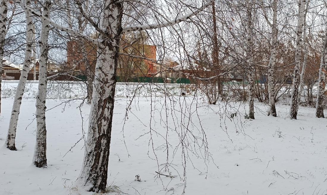 Снегопад накрыл половину Новосибирской области (ФОТО)