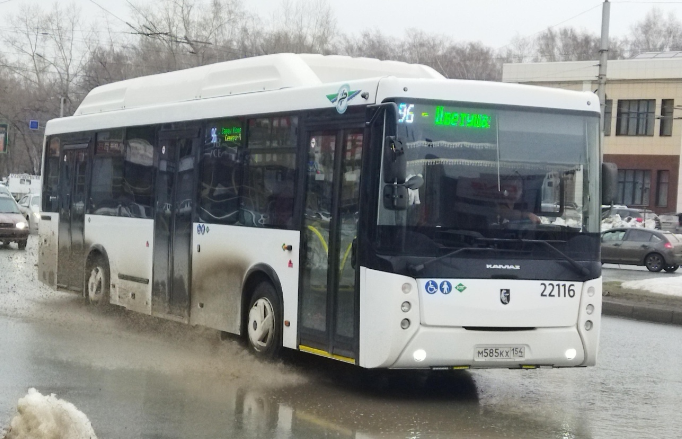 Два автобуса и маршрутка меняют схему движения в Новосибирске