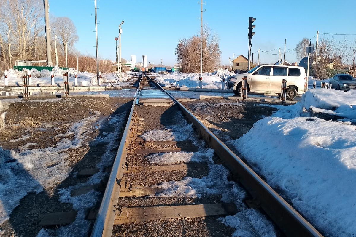 На час быстрее и вдвое дешевле: новая возможность добраться в Новосибирск появилась для жителей Венгеровского района