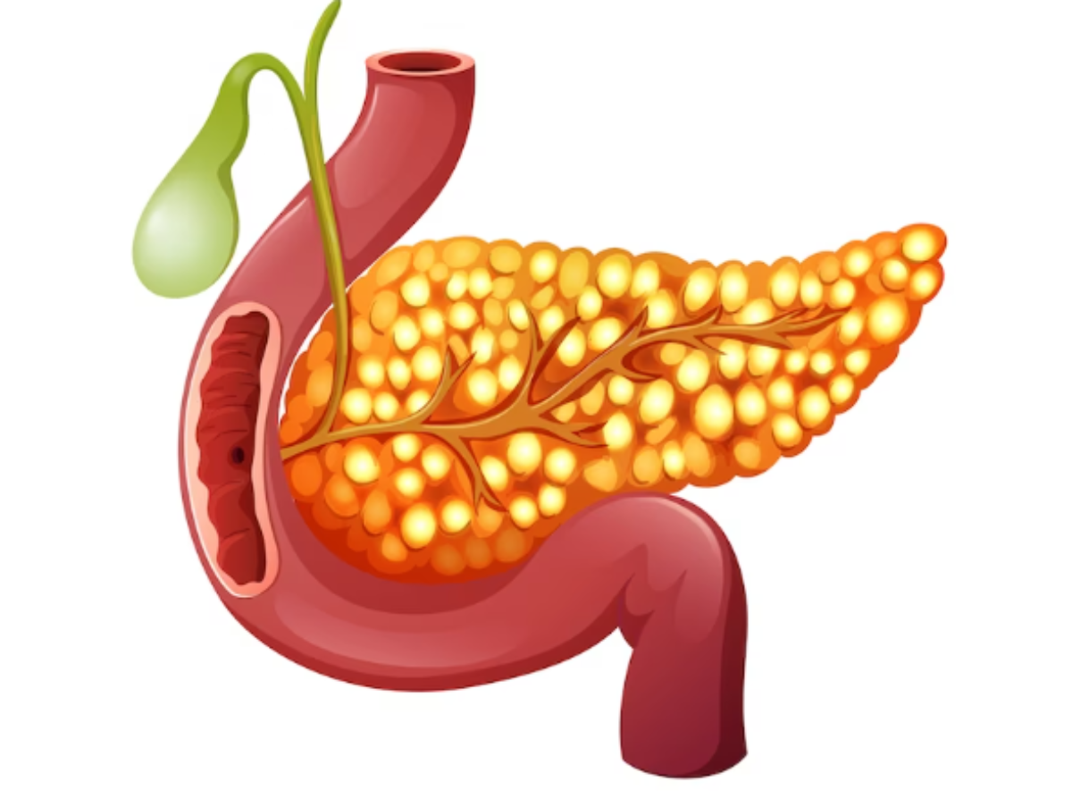 Как тело сигнализирует о том, что поджелудочной нужна срочная помощь
