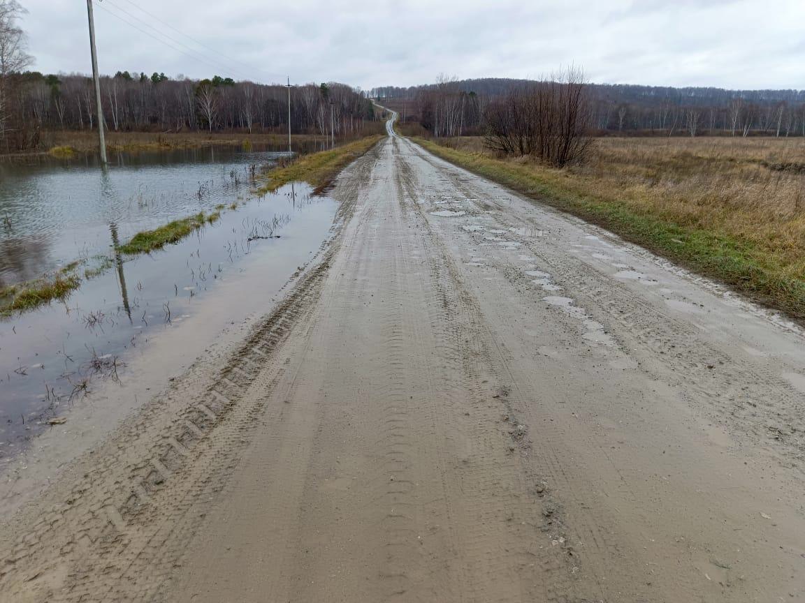 Бобры оставили без света два села