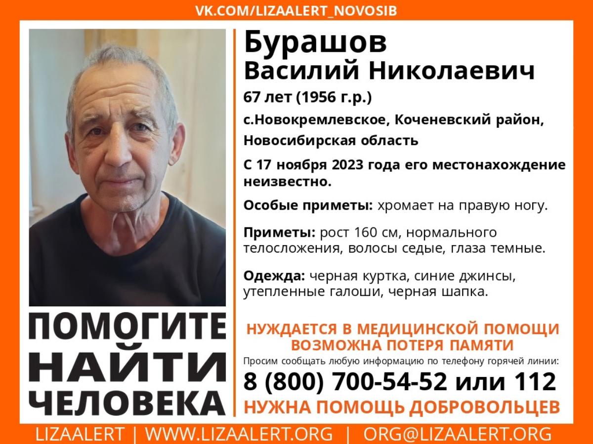 Мог потерять память: пенсионера ищут в Новосибирской области