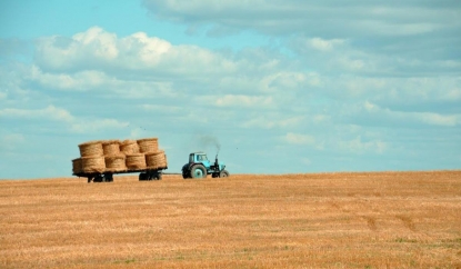 «Калачами по полмиллиона рублей в сельское хозяйство не заманишь»: в Новосибирске пытаются найти решение дефицита кадров в АПК