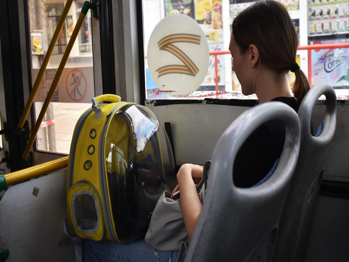 До 150 рублей поднимут цены в автобусах по Новосибирской области