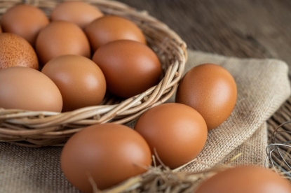 Генпрокуратура проверит производителей и продавцов яиц из-за роста цен