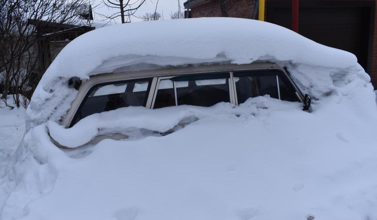 На трассах в морозы спасли более 50 человек в Новосибирской области