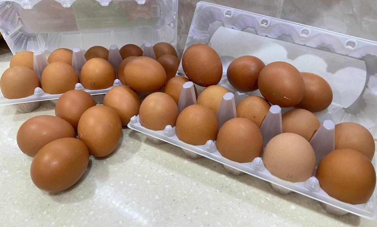 Новосибирская область «помогла» создать дефицит куриных яиц в России