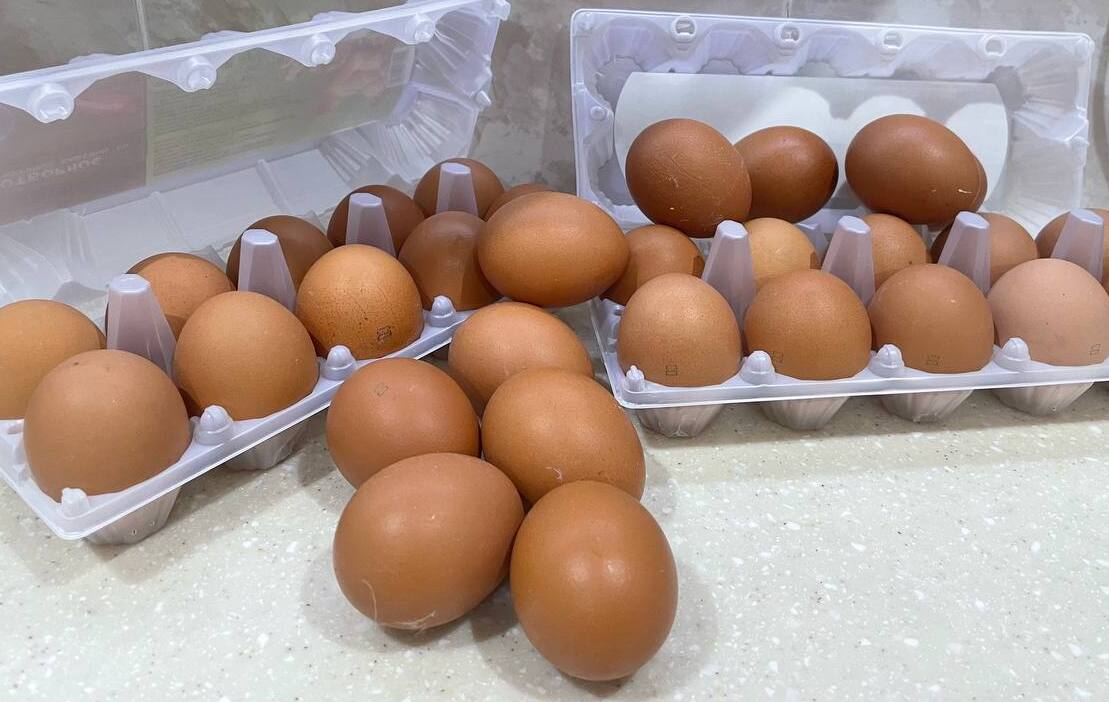 Жажда денег довела производителей куриных яиц до дела о картельном сговоре
