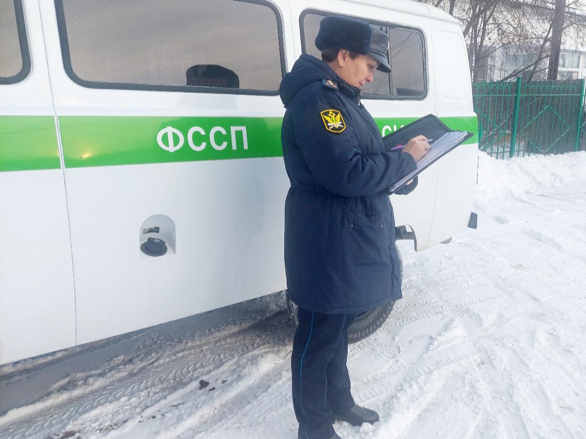 Контрабандисты пытались вывезти самую крупную партию сосен из Новосибирска в Казахстан