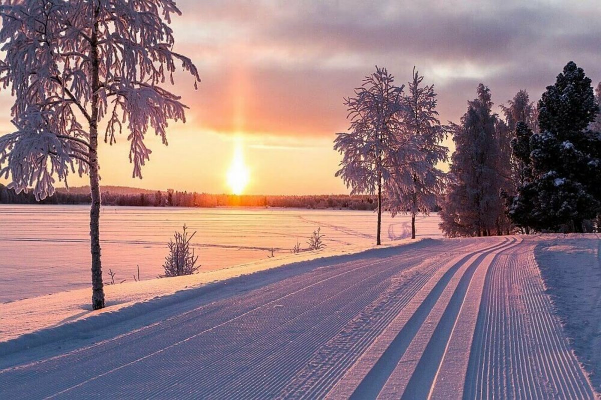 Январская зима. Январь природа. Зимний рассвет. Зима январь. Зимнее утро.