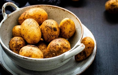 Ученые нашли лекарство от картофельной чумы