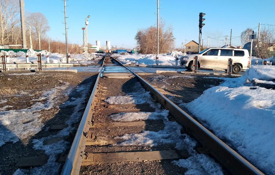 Электричку «Ласточка» запустят из Омска в Новосибирск