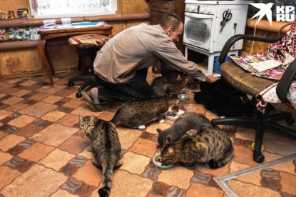 Пенсионер завещает дом тому, кто присмотрит за его 13 кошками