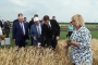Министр Патрушев готовится тормозить: темпы развития агрокомлпекса планируют резко снизить