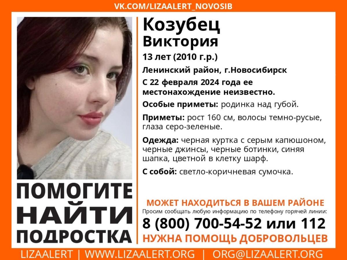 В Новосибирске ищут 13-летнюю девочку с родинкой над губой