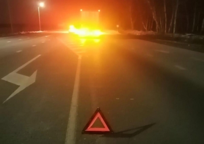 Женщина-пешеход погибла на новосибирской трассе