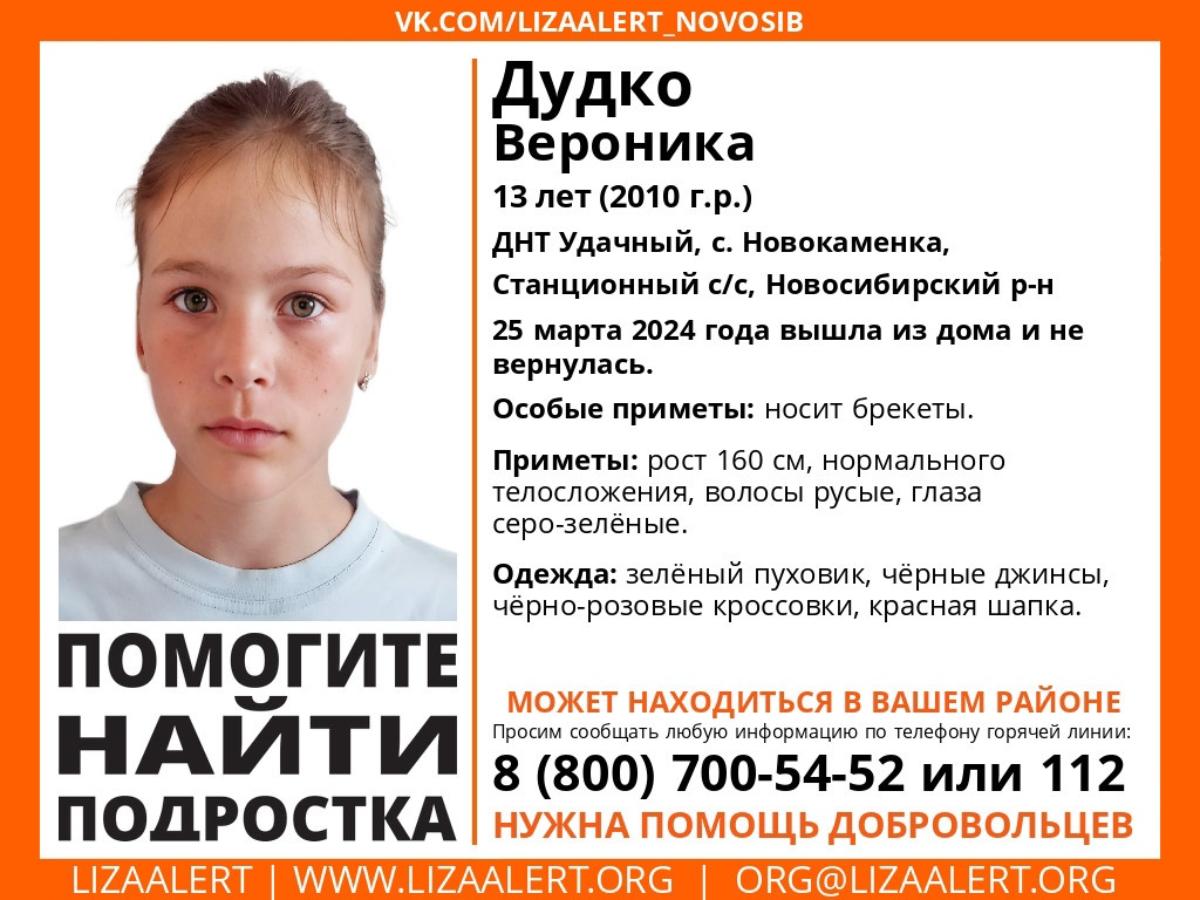 Под Новосибирском пропала 13-летняя девочка