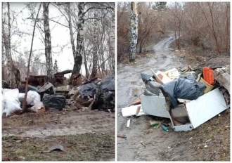 Жители Новосибирска просят вывезти мусор с озера Утиное гнездо